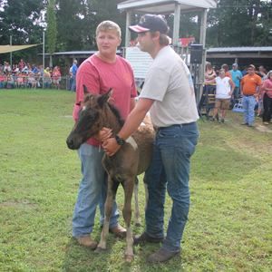 Meet your Posher, Amanda